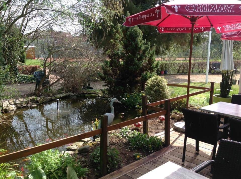 Le jardin et son étang, juste à côté de la terrasse